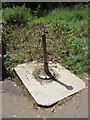 Water fountain, Hampstead Heath