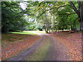 The Drive to Kilravoch Castle