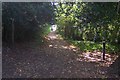 Footpath junction near Kilndown