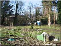 TL4556 : Empty Common allotments by Mr Ignavy