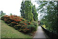 Footpath leading off the River Medway to the A229