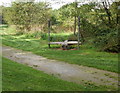 Dragonfly bench, Malpas