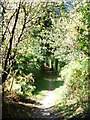 Footpath Off Dunny Lane