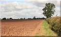 A field nr Field Farm