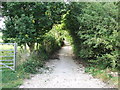 Old road from Seven Springs to Leckhampton.