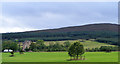 Looking towards Craigshannoch