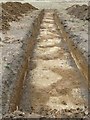 Looking in the trench