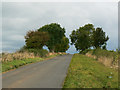 A closer look at the Chipping Norton Road, near Chadlington