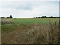 Farmland near Bridewell Farm Cottages, East End, Witney