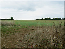 SP3714 : Farmland near Bridewell Farm Cottages, East End, Witney by Brian Robert Marshall