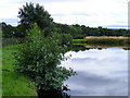 The Dam at Miltonduff