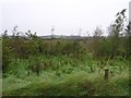 Tullyrusk Townland