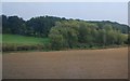 Tree lined River Medway behind a ploughed field