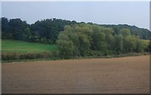 TQ6851 : Tree lined River Medway behind a ploughed field by N Chadwick