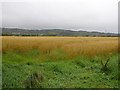 Ballyvaston Townland