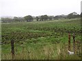 Ballyvaston Townland