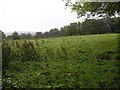 Boghil Townland