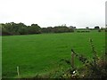 Ballynalough Townland