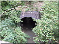 River Coln going under old railway embankment