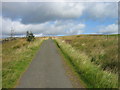 NY7386 : Road leading to track near Kingsley Crag by Les Hull