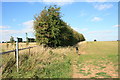 Footpath to Asthall