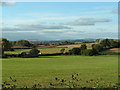 Fields near Hill Barton Farm