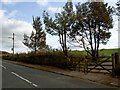 Gate and bus stop Wilshaw Road