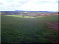 Large meadow at Grendon Court Farm