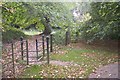 Kissing Gate in Sprivers Garden Woodland