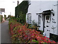 Road through Rockbeare, Rose Cottage in the foreground