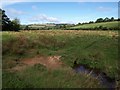 Stream near Wiveliscombe