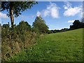 Field near Heathstock Farm