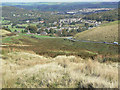 View over Burbage