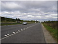 The A1 Looking North