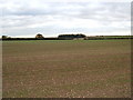 Wolds Farmland