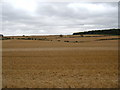 Wolds Farmland