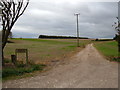 Track to  Shiptondale Farm