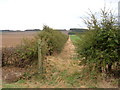 Footpath to Bulmer