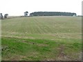 NT6025 : Farmland between Woodhead and Palacehill by M J Richardson