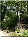 The footpath between Chambercombe Lane and Watermouth Road