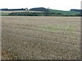 Stubble fields at Woodhead