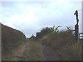 Footpath,  Holme-on-the-Wolds