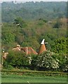 Oast house, Dodhurst