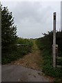 Footpath to South Petherton