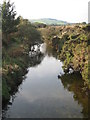 The River Fowey near Ninestones Farm