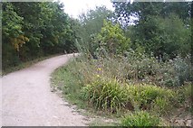 TR1263 : Footpath junction in Clowes Wood by David Anstiss