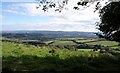 Countryside near Hellings Farm