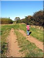 Footpath towards Murton Hall Farm