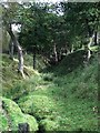 The Antonine Wall at Dullatur