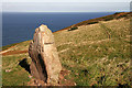 A standing stone by the path to Fast Castle